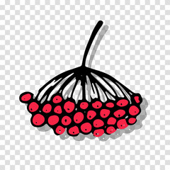 Leinwandbilder - Rowan sketch on transparent background for your design