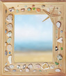 summer background of shell on the sand and frame