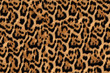 Jaguar, leopard and ocelot skin texture 2
