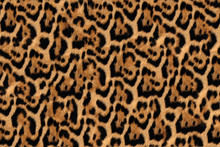 Jaguar, Leopard And Ocelot Skin Texture 2
