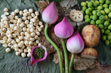 Collection Lotus Flower, Seed, Tea, Healthy Food