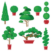Trees Topiary Set