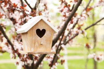 Wall Mural - Nesting box hanging on the tree