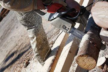 Lumberjack worker with chainsaw cutting log of wood