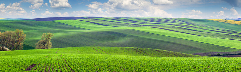 Wall Mural - Wonderful panoramic view of fields in beautiful colorful valley