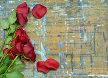 Old Roses And Weathered Wood