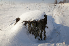 Stump Under Snow 