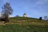 Windmühle in Kalletal-Bavenhausen