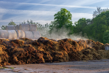 Natural dunghill on a land.