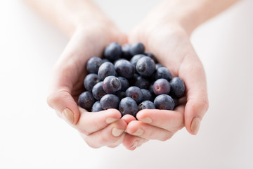 Wall Mural - close up of woman hands holding blueberries