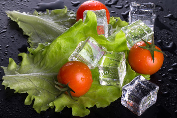 Wall Mural - Red cherry tomatos, green salad and ice cubes on black wet table