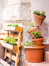 Mini Gardening - Several Pots With Plants Stacked