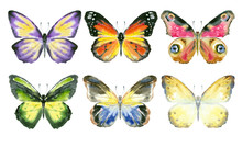 Set Of Watercolor Butterflies
