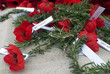 Anzac day remembrance day poppy