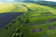 Aerial View On Yellow Fields