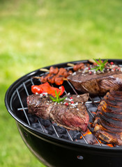 Barbecue grill with various kinds of meat