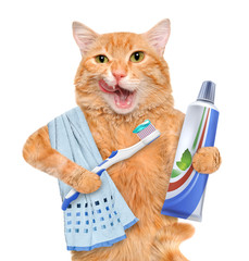 Wall Mural - Brushing teeth cat.