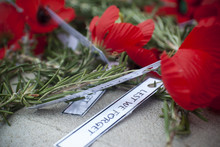 Anzac Day Remembrance Day Poppy