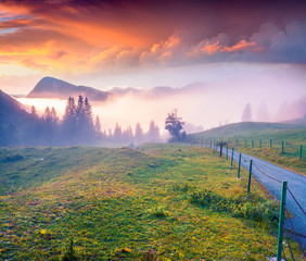 Wall Mural - Colorful summer sunrise in the foggy mountains.