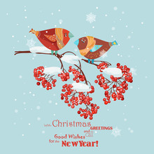 Christmas Greeting Card With Robins, Birds, Rowan Branch