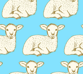 Wall Mural - Sketch cute lamb in vintage style