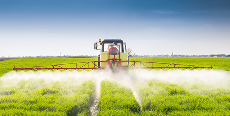 Wall Mural - Tractor spraying wheat field