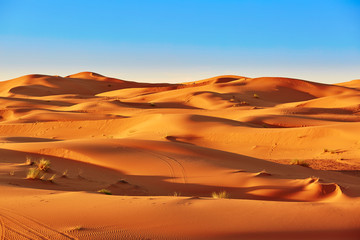  Sand dunes in the Sahara Desert
