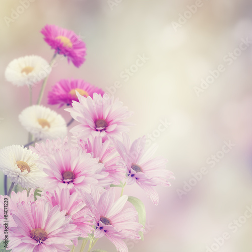 Naklejka dekoracyjna Flowers In The Garden