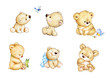 Set of 6 Teddy bears