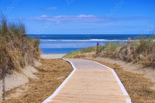 Tapeta ścienna na wymiar Langeoog Duene mit Weg - Langeoog dune and track 01