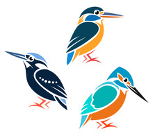 Stylized Birds - Kingfishers