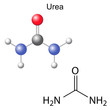 © logos2012 - Chemical formula and model of urea molecule