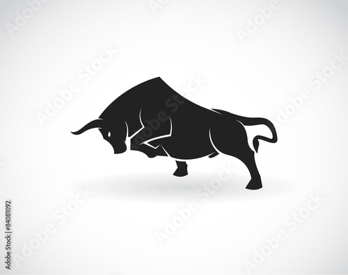 Fotografie, Obraz Vector image of an bull on a white background