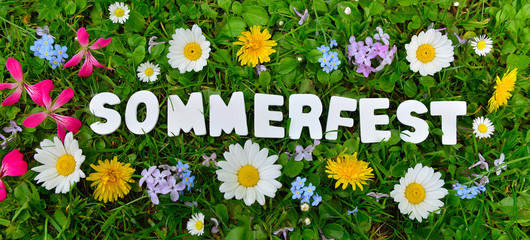 Sommerfest Text auf Blumen Wiese