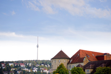 Wall Mural - Altes Schloss - Stuttgart 