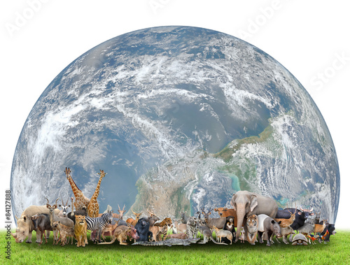 Naklejka - mata magnetyczna na lodówkę animal of the world with planet earth