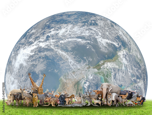 Naklejka dekoracyjna animal of the world with planet earth