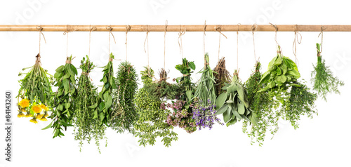 Naklejka na szybę Fresh herbs hanging. Basil, rosemary, thyme, mint, dill, sage