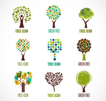 Collection Of Green Tree - Logos And Icons