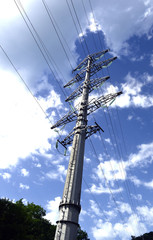 high voltage support of transmission lines 110000 volts