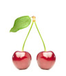 © Daniele Depascale - two shiny red cherries