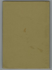 Wall Mural - Brown paper background