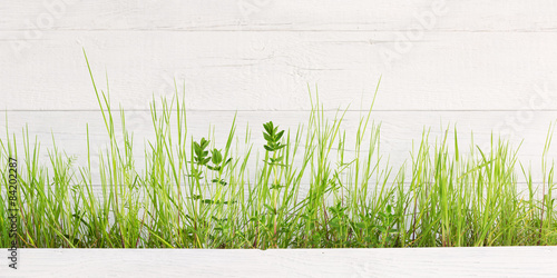 Naklejka na szybę Light grass piece