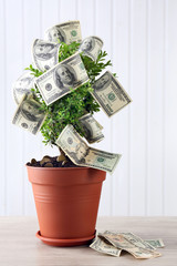 Wall Mural - Decorative tree in pot with money on wooden background