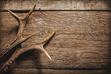 Deer Antlers on Wooden Surface