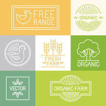Vector Fresh Farm And Free Range Labels