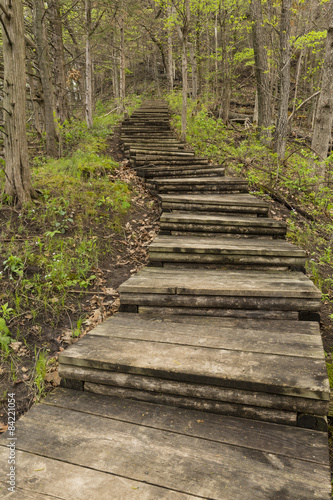 Fototapeta na wymiar Step Trail In Woods During Spring