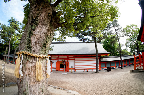 住吉大社侍者社 Buy This Stock Photo And Explore Similar Images At Adobe Stock Adobe Stock