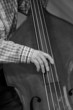 The hand of the musician playing the double bass in grayscale