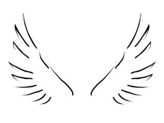 Wall Mural - wings